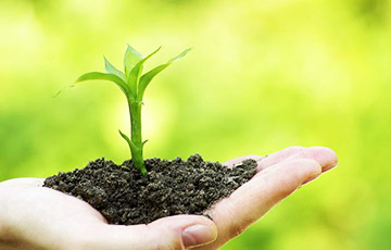测土配 方的施肥技术是什么？