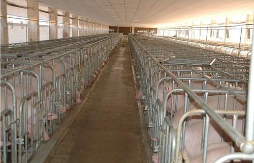 猪粪有机肥设备需要选择有实力的厂家
